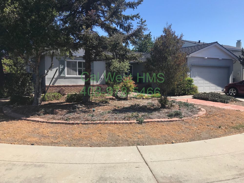 $4195.00 Beautiful 3/2 located in Sunnyvale near Reed and S. Wolfe property image