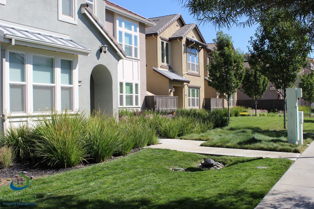 $4000 - Executive 4/3 Home near Cottle and Raleigh-New Build 2015 property image