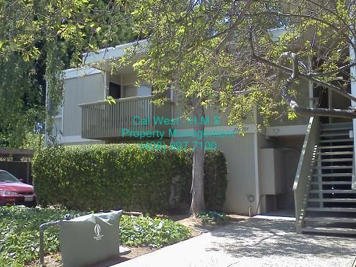 Spacious 1 Bedroom 1 Bath Condo in Mountain View property image